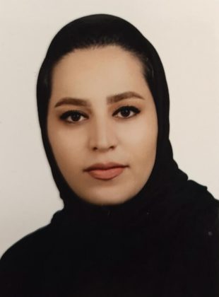 دیمن حسینی-وکیل پایه یک دادگستری