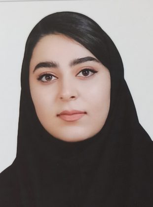 میدیا حسینی- مشاوره ویزا
